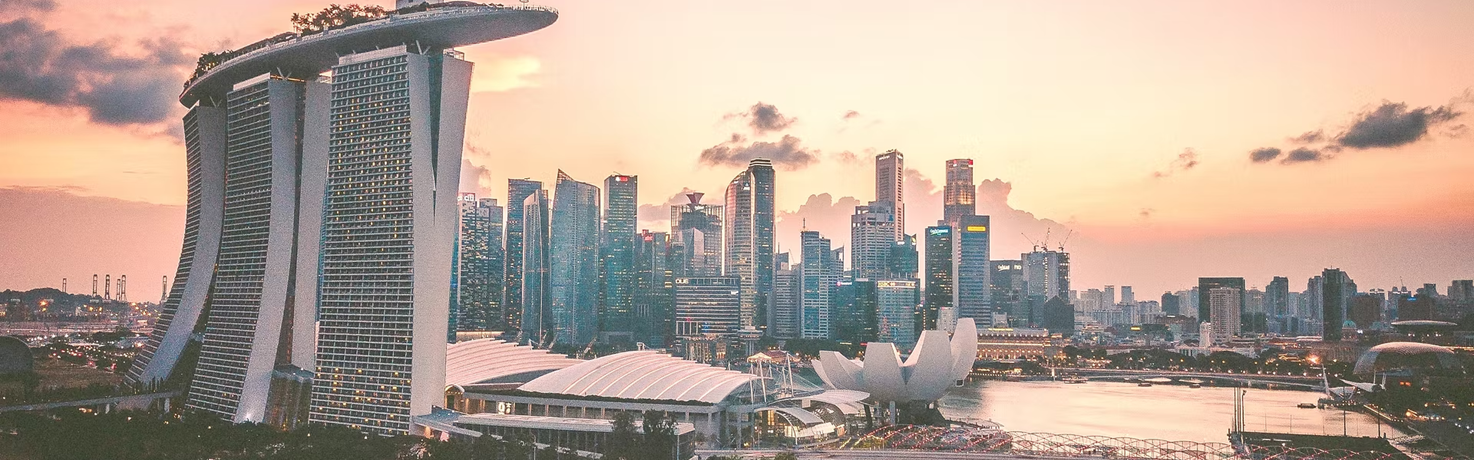 Welcome to Indonesia Professionals Association in Singapore